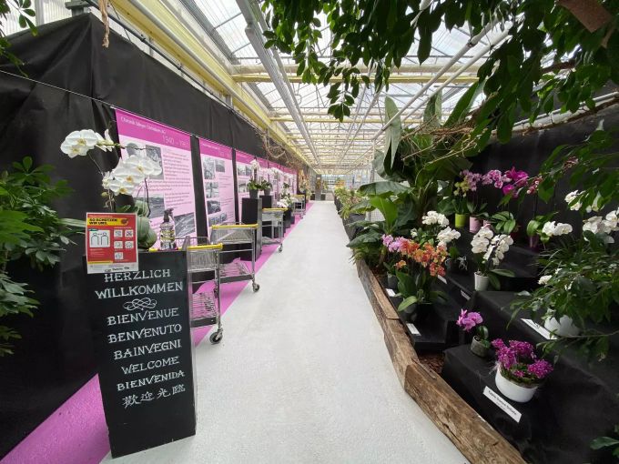 Hanspeter Meyer war am Wiedereröffnungstag mit passenden Schutzmassnahmen vorbereitet. Orchideenparadies in Wangen