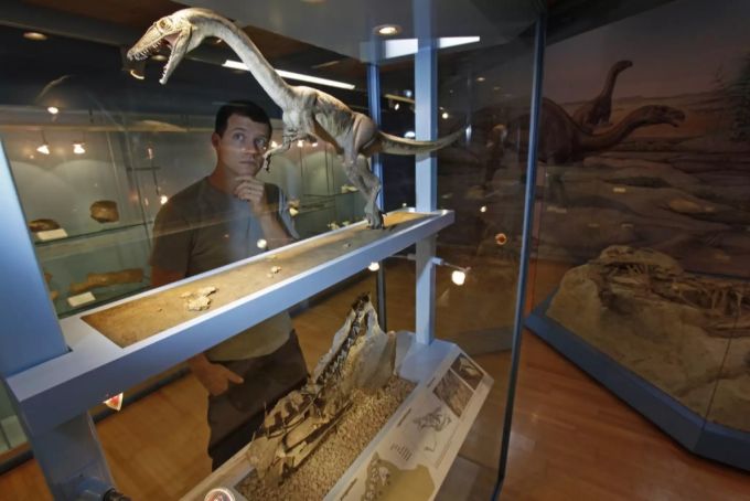 Das Sauriermuseum Frick erwartet keinen grossen Besucher-Ansturm. (Archivbild) Sauriermuseum