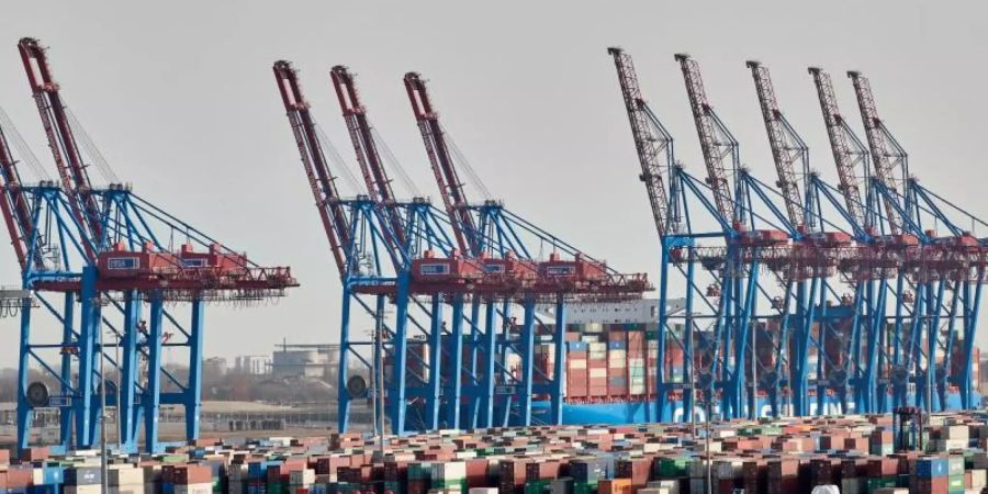 Container und Kräne im Hamburger Hafen. Foto: Georg Wendt/dpa