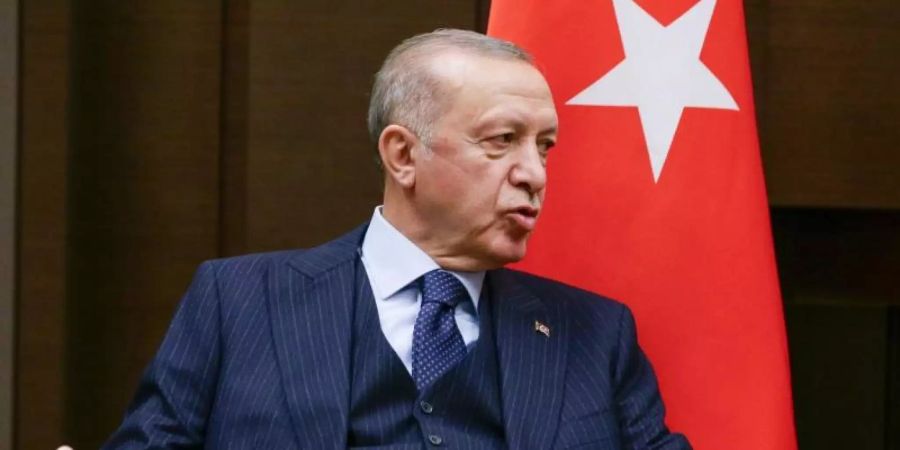 Präsident Recep Tayyip Erdogan erklärt unter anderem den deutschen Botschafter in der Türkei zur unerwünschten Person. Foto: Vladimir Smirnov/Pool Sputnik Kremlin/AP/dpa