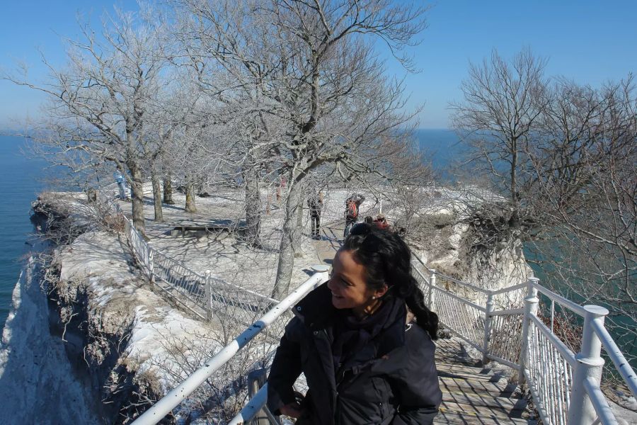 Aussichtsplattform Meer Bäume kahl Winter