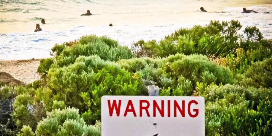 Ein Schild an einem australischen Strand warnt vor Haien (Symbolbild). Foto: Rebecca Le May/AAP/dpa