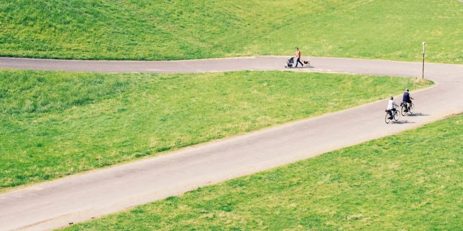 Feld Radfahrer auf Landstrasse