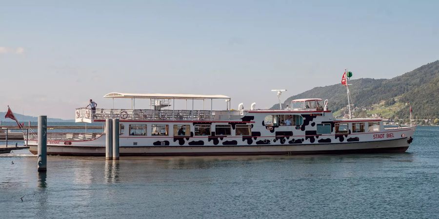 Der Bielersee mit dem Motorschiff Stadt Biel.