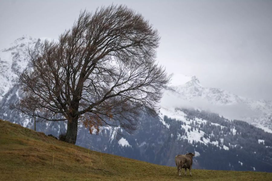 Wetter sturmtief