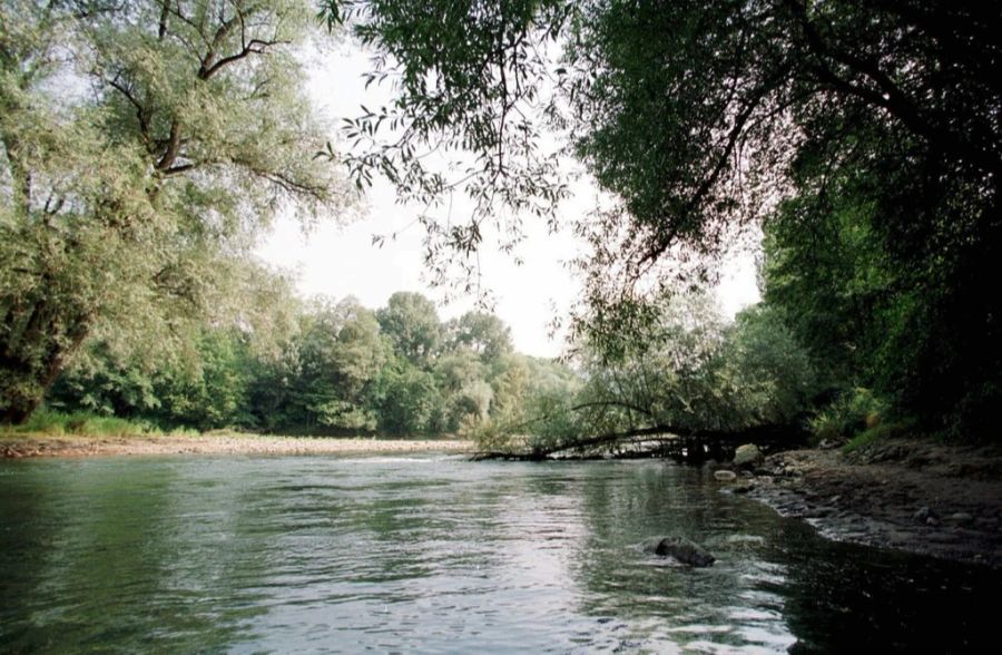 Velo Aare