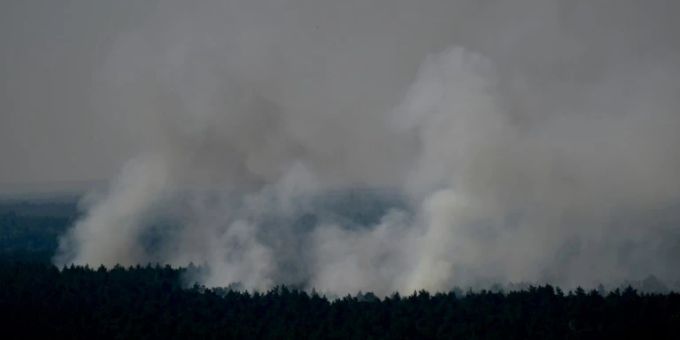 Feuer im Grunewald Feuer im Grunewald