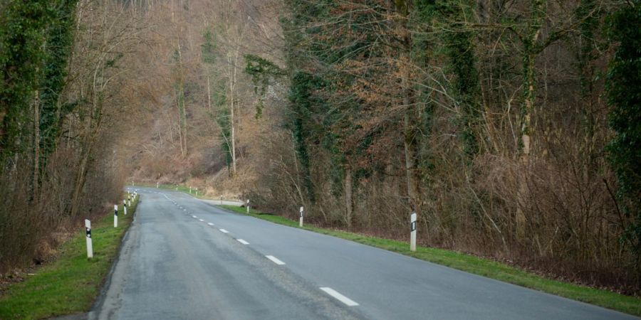 Die Landstrasse bei Andelfingen.