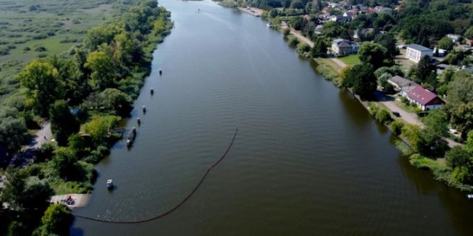 Mobile Sperre auf der Oder soll tote Fische einfangen Mobile Sperre auf der Oder soll tote Fische einfangen
