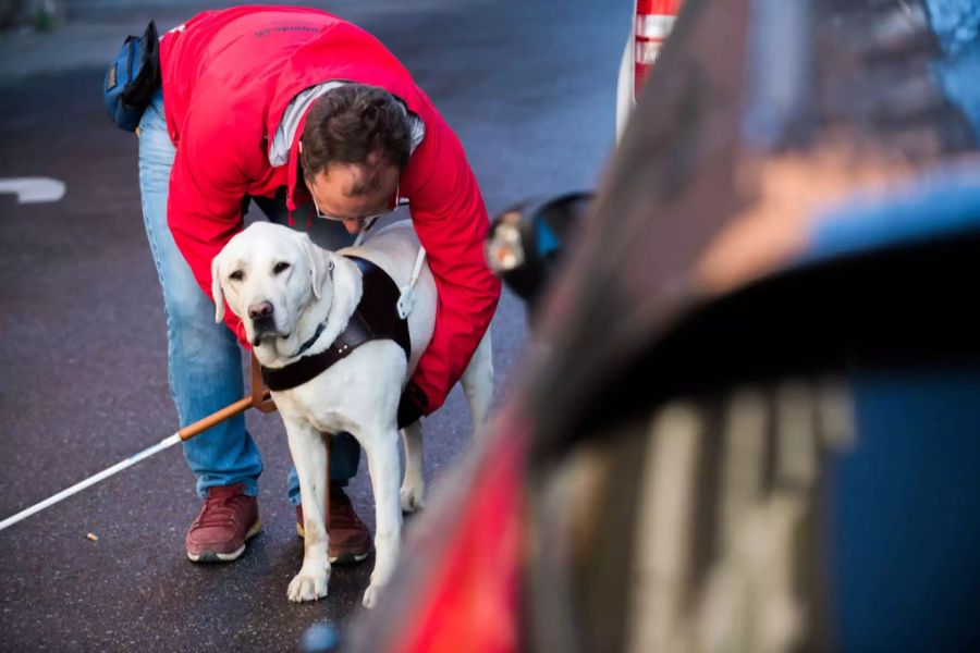 KKL Blindenhund