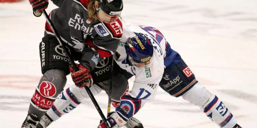 2008 brauchten die Kölner Haie 168:16 Minuten um Adler Mannheim zu besiegen. Foto: Felix Heyder dpa