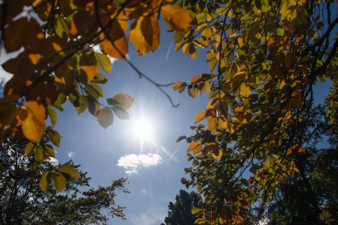 Herbst in Stuttgart