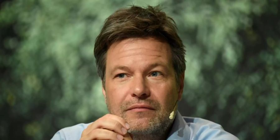Grünen-Chef Robert Habeck
