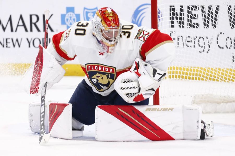 florida panthers