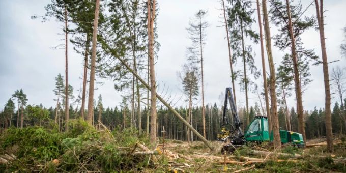 Forstwirtschaft Forstwirtschaft