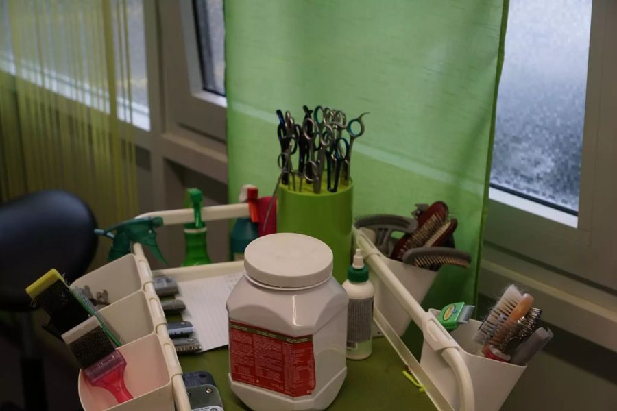 Schär- und Kämmutensilien stehen in grosser Zahl bereit.