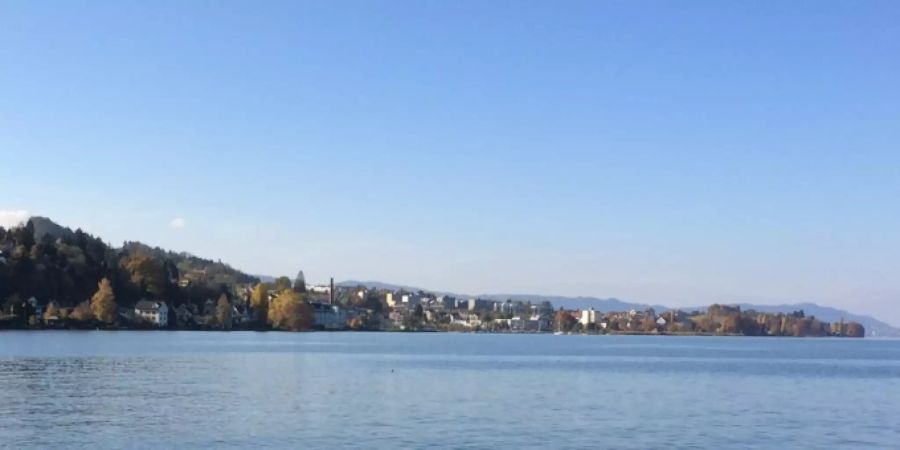 Wädenswil