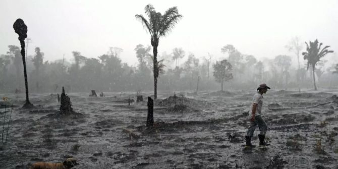 Greenpeace Brasilien