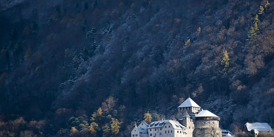 landtag des fürstentums liechtenstein
