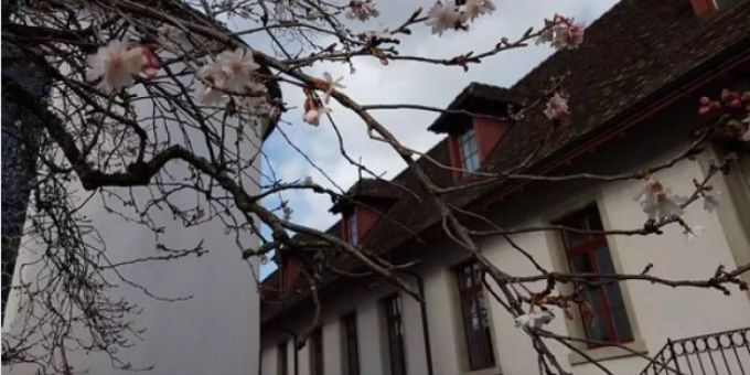 Neu Maskenpflicht - Corona-Ausbruch in Kantonsschule Wettingen AG