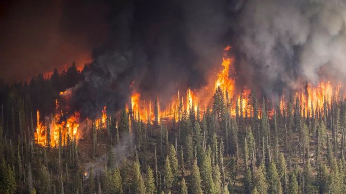 Verheerende Waldbrände suchen Kalifornien heim. Durch Spenden sollen die Opfer unterstützt werden. Kalifornien Waldbrand Opfer Spenden