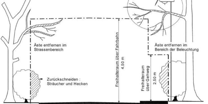Bäume, Sträucher und Grünhecken zurückschneiden. Bäume, Sträucher und Grünhecken zurückschneiden