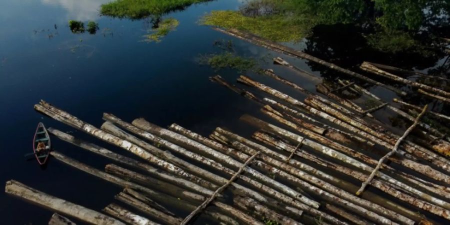 Amazonasgebiet Abkommen