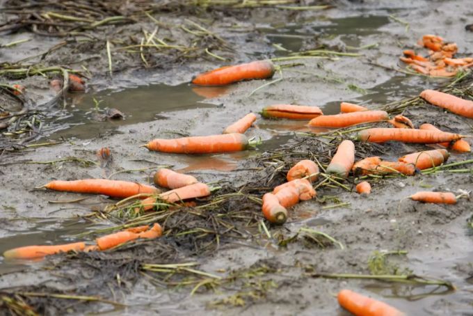 Unwetter Landwirtschaft