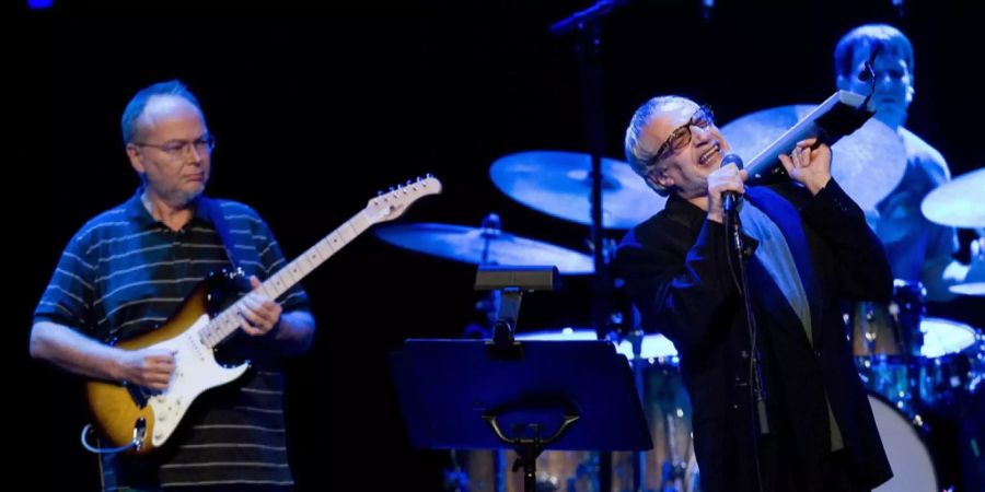 steely dan