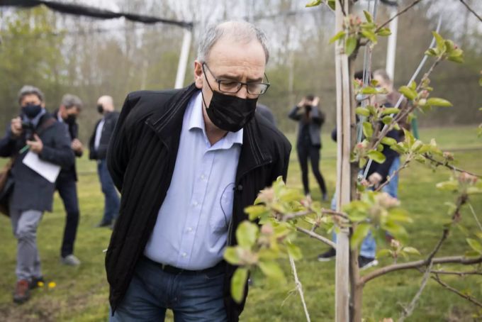 Guy Parmelin besichtigt eine Obstplantage. (Archivbild) parmelin