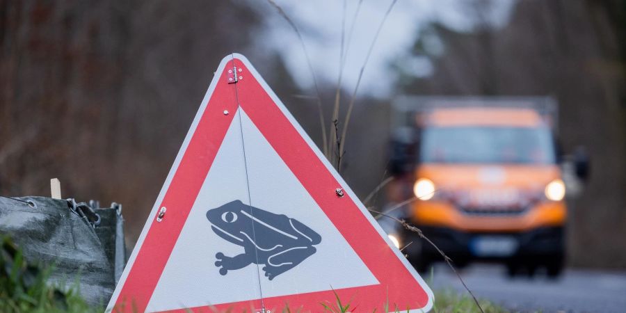 Nach eisiger Kälte kommen mit den milden Temperaturen die Kröten wieder in Bewegung. Weil die Amphibien bei ihrem Weg zu den Laichplätzen oft über Strassen wandern, bittet der Nabu Autofahrer um Vorsicht.