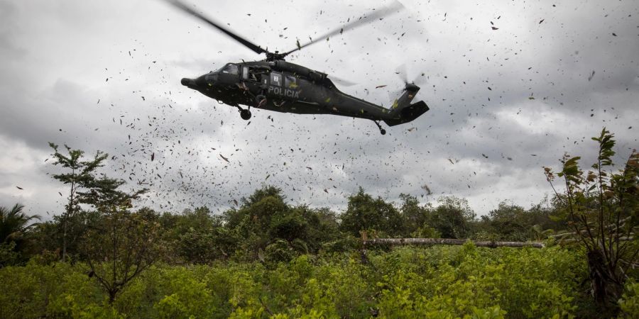 Ein Polizeihubschrauber landet während einer Vernichtungsaktion auf einer Kokaplantage in Tumaco im Südwesten Kolumbiens.