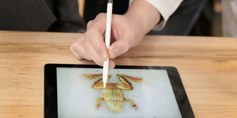 Bild eines Froschs auf einem Tablet