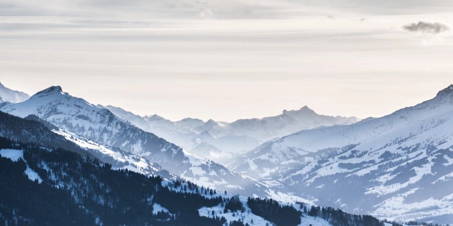 Berg Panorama Bern Wald Schnee