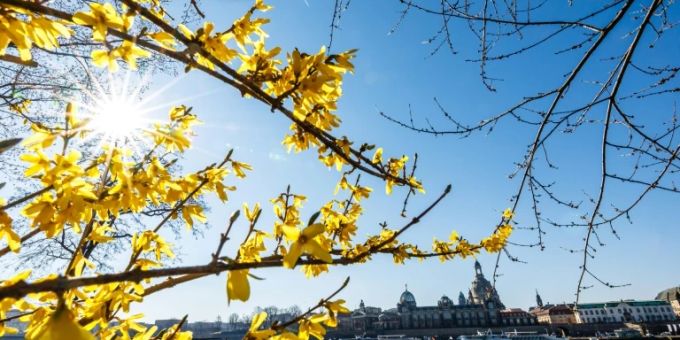 Gut gegen Corona: Sonniges Wetter Gut gegen Corona: Sonniges Wetter
