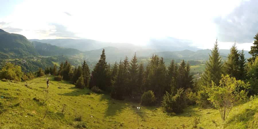 Berge Aussicht Jogger Sonne grün