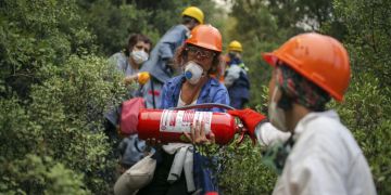 Marmaris waldbrand