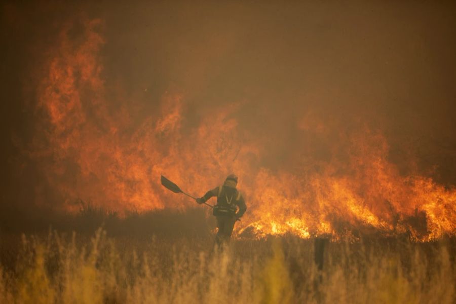 Eine Person der Feuerwehr bei der Brandbekämpfung in Sierra de la Culebra am 18. Juni im nordwesen Spaniens.