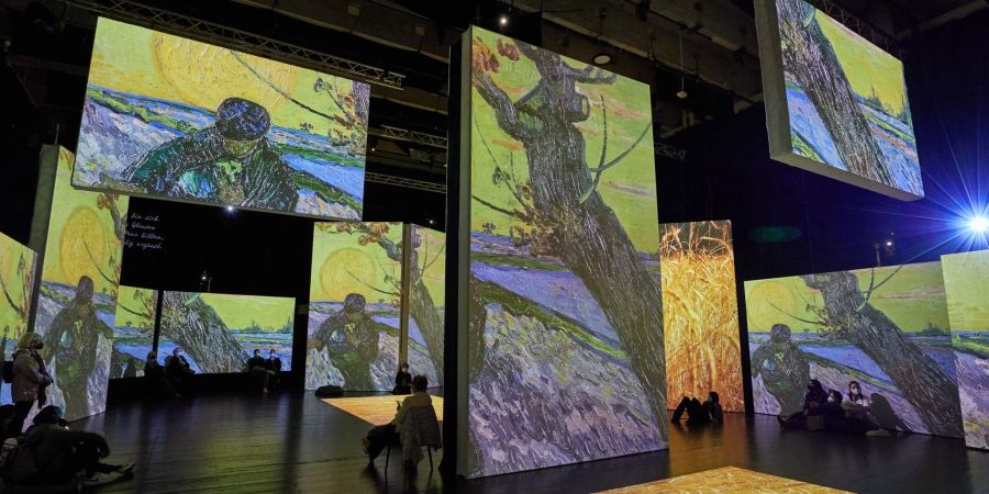 Bilder des Malers Vincent van Gogh werden in der Ausstellung „Van Gogh Alive“ lebendig.