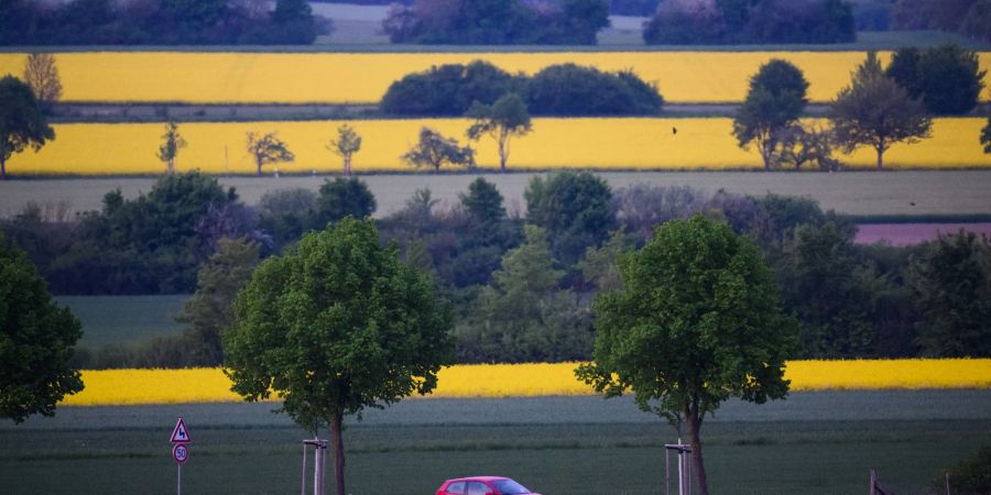 Ein Leben auf dem Land ist wieder gefragt. Wegen steigender Miet- und Immobilienpreise werden Grossstädte immer unattraktiver.