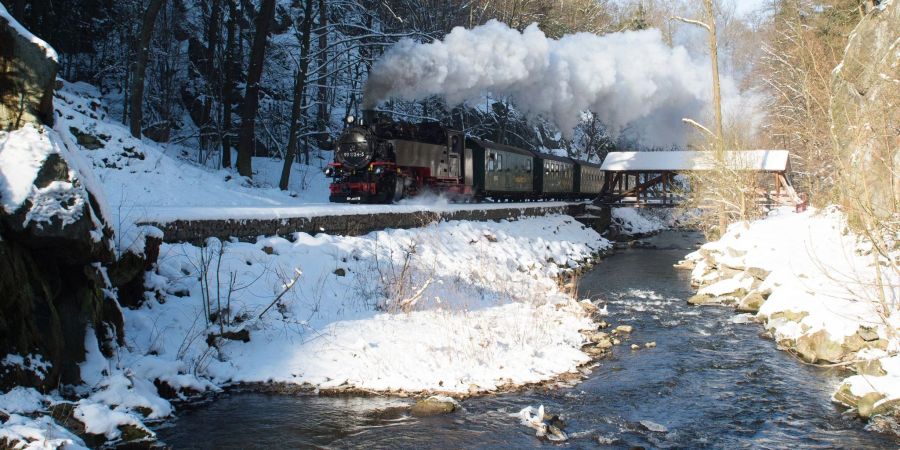 Im Osterzgebirge gibt es für Urlauber auch einige Alternativen zum Wintersport - etwa eine Fahrt mit der Weisseritztalbahn.