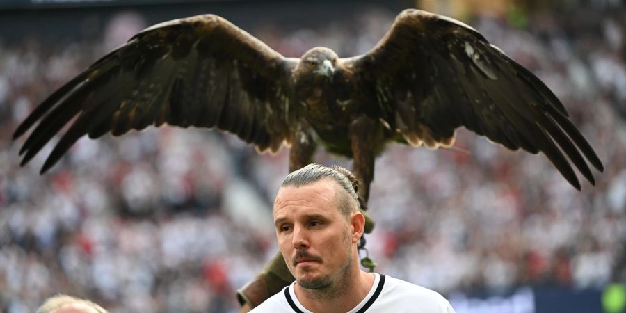 Eintracht-Maskottchen Steinadler «Attila» wird seit 2006 in die Frankfurter Arena gebracht.