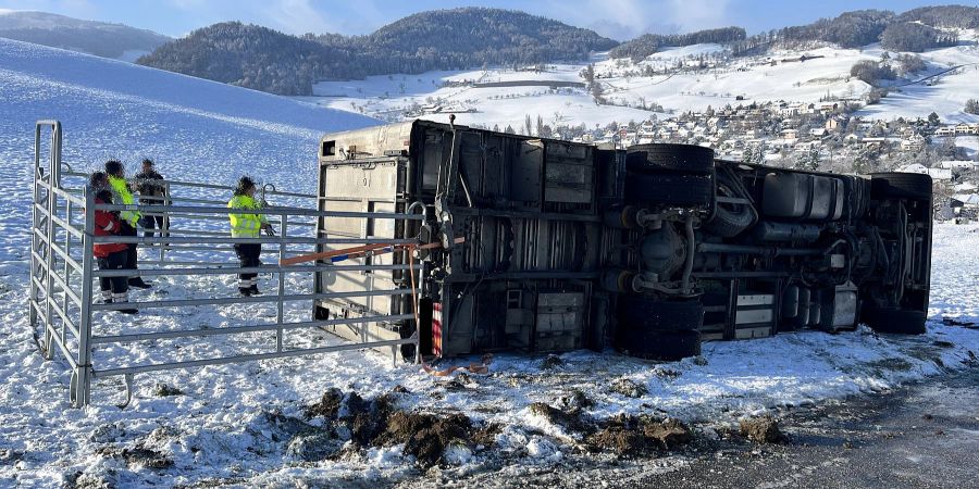 Niederdorf BL: Tiertransporter bei Selbstunfall auf die Seite gekippt