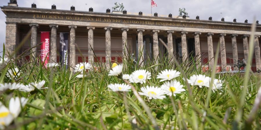 Die Besuchszahlen der Museen brachen im Jahr 2020 um 63 Prozent ein.