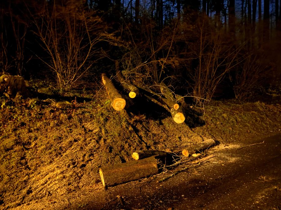 Der Sturm hatte eine riesige Kraft.