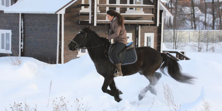 Frau reitet ein braunes Pferd im Schnee.