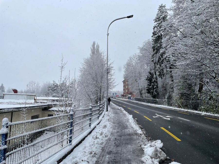 Schneebedeckte Bäume, Dächer und Trottoirs in Freiburg.