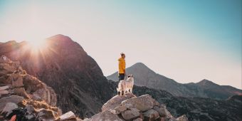 Frau mit weissem Hund sitzt auf Berggipfel in sommerlicher Landschaft.