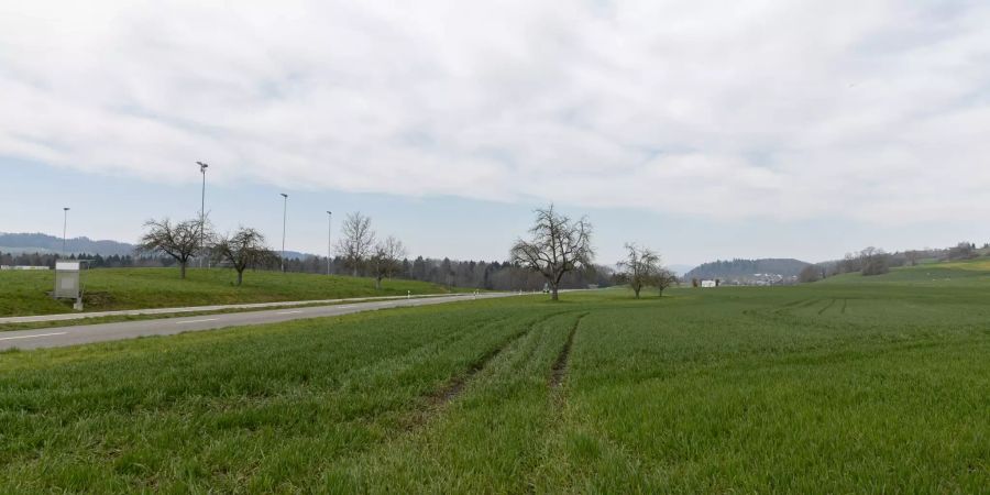 Landschaft bei Seengen in der Region Lenzburg.