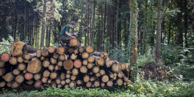 Coronavirus Holz